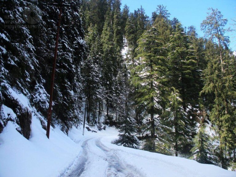delhi-amritsar-dalhousie-dharamshala-tour-6n-7d-11