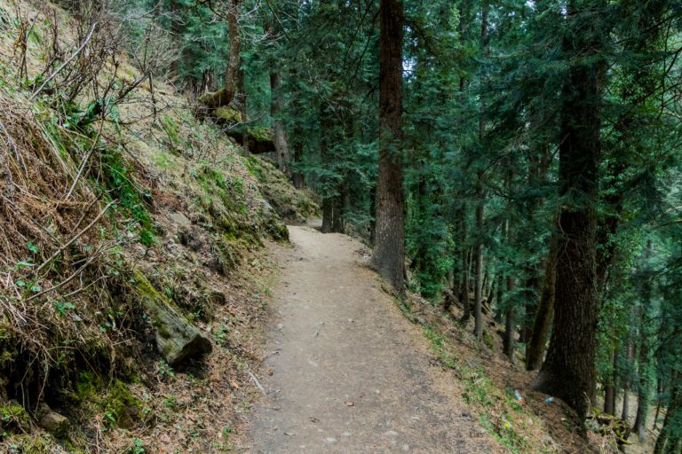 delhi-to-kasol-manali-tour-package-5n-6d-5