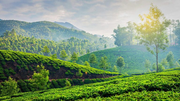 enchanting-kerala-5n-6d-tour-package-5