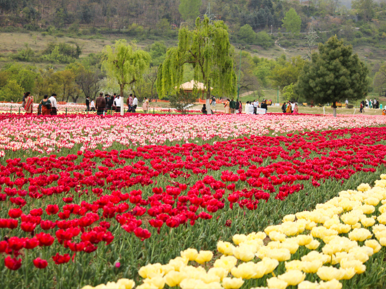 jammu-kashmir-6